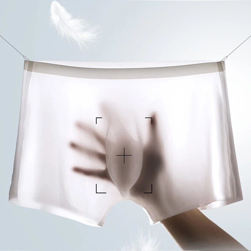 Snösilke Nude Collection Ultra-Thin & Ultra-Breathable Seamless Men's Underwear - Buy 2 Undies Get 2 Free